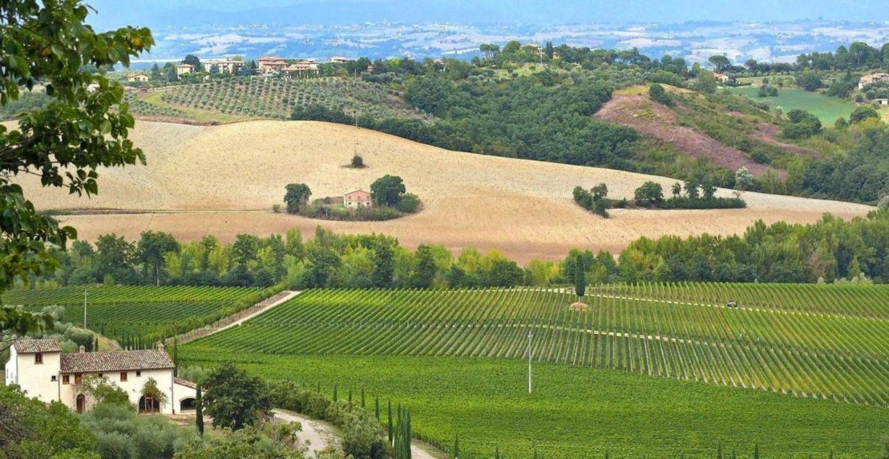 Villa Le Buche Sarteano Buitenkant foto